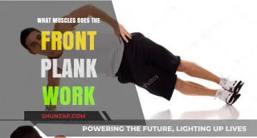 Front Plank Power: Targeted Muscles and Core Strength Benefits