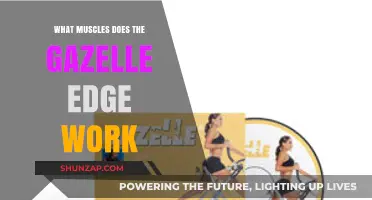 Gazelle Edge Workout: Targeted Muscles and Fitness Benefits Explained