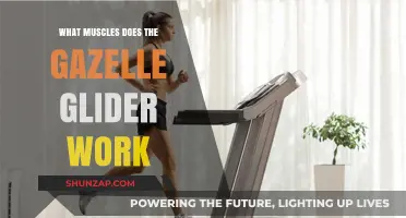 Gazelle Glider Workout: Target Muscles and Fitness Benefits Explained