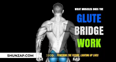 Glute Bridge Benefits: Targeted Muscles and Strength Training Explained