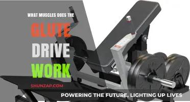 Glute Drive Muscles: Targeted Activation and Strength Benefits Explained