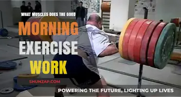 Good Morning Exercise: Target Muscles and Benefits Explained