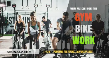 Gym Bike Benefits: Targeted Muscles for Lower Body Strength and Endurance