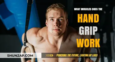 Hand Grip Strength: Muscles Targeted and Benefits Explained