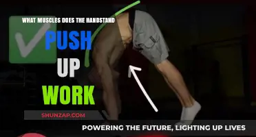 Handstand Push-Up Muscles: Targeted Strength Training Explained