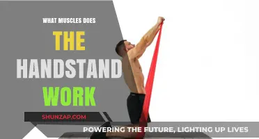 Handstand Benefits: Targeted Muscles for Strength and Stability Explained