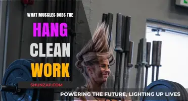 Hang Clean Muscles: Targeted Strength Training for Explosive Power