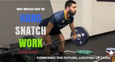 Hang Snatch Muscles: Targeted Strength and Power Development Explained