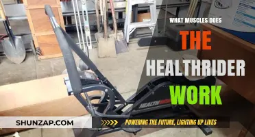 HealthRider Workout Benefits: Targeted Muscles and Fitness Gains Explained