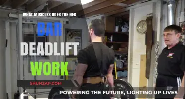 Hex Bar Deadlift Muscles: Targeted Strength Training Benefits Explained