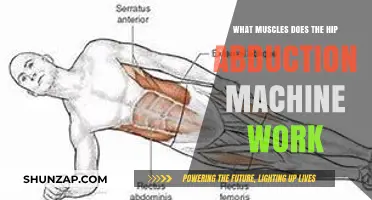 Hip Abduction Machine: Targeted Muscles and Workout Benefits Explained