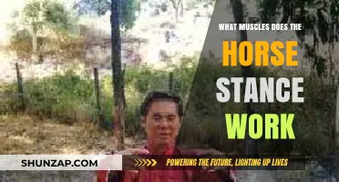 Horse Stance Benefits: Targeted Muscles and Strength Training Explained