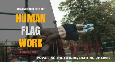Human Flag Workout: Targeted Muscles and Strength Benefits Explained