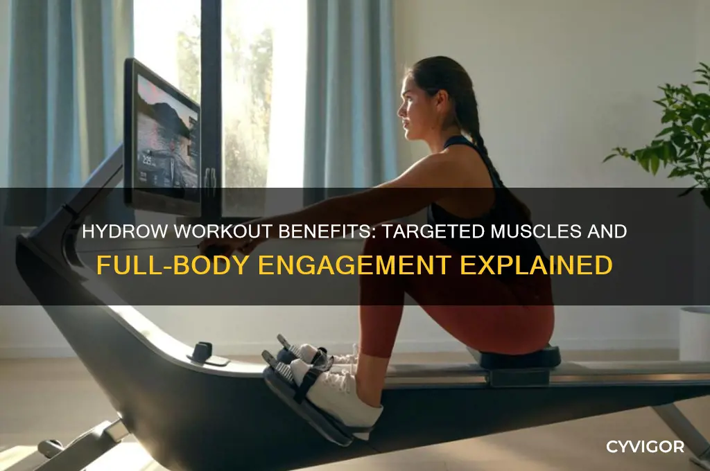what muscles does the hydrow work