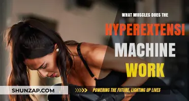 Hyperextension Machine: Target Muscles and Benefits Explained