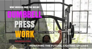 Incline Dumbbell Press: Target Muscles and Benefits Explained