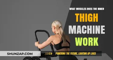 Inner Thigh Machine: Targeted Muscles and Workout Benefits Explained