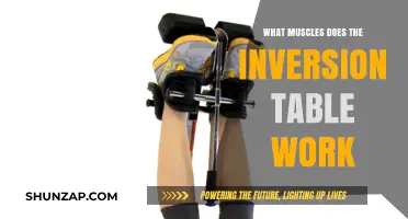 Inversion Table Benefits: Targeted Muscles and Decompression Explained