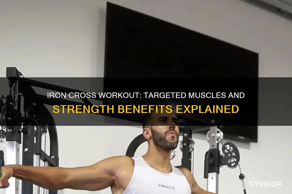 what muscles does the iron cross work