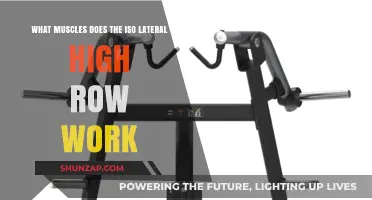 Iso Lateral High Row: Target Muscles and Benefits Explained