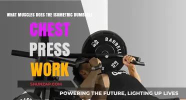 Isometric Dumbbell Chest Press: Targeted Muscles and Benefits Explained
