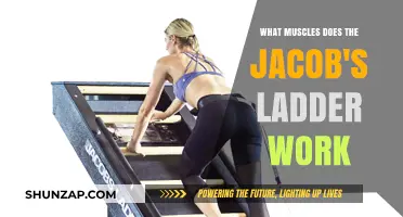Jacob's Ladder Workout: Targeted Muscles and Full-Body Benefits Explained