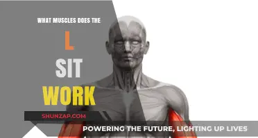 L-Sit Workout: Targeting Core, Arm, and Shoulder Muscles Effectively