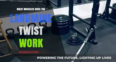 Landmine Twist: Targeted Muscles and Benefits for Core Strength