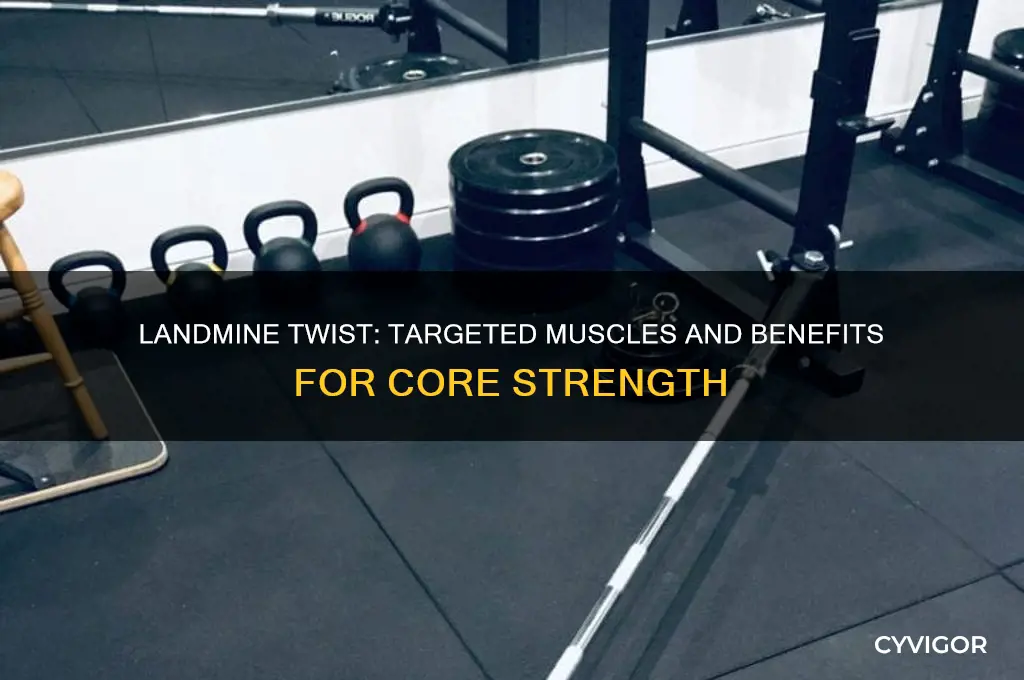 what muscles does the landmine twist work