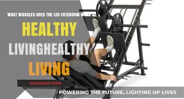 Leg Extension Benefits: Targeted Muscles for Stronger, Healthier Legs