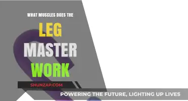Leg Master Workout: Targeted Muscles and Benefits Explained