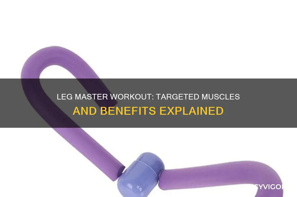 what muscles does the leg master work