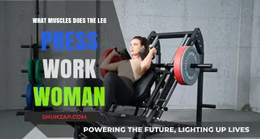 Leg Press Benefits: Targeted Muscles for Women's Lower Body Strength