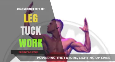 Leg Tuck Workout: Targeted Muscles and Core Strength Benefits
