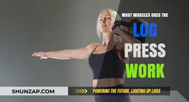 Log Press Muscles: Targeted Strength Training for Upper Body Power