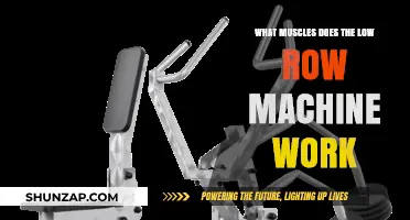 Low Row Machine Muscles: Targeted Back, Arm, and Core Workout