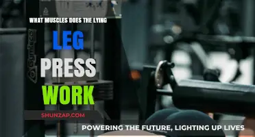 Lying Leg Press: Target Muscles and Benefits Explained