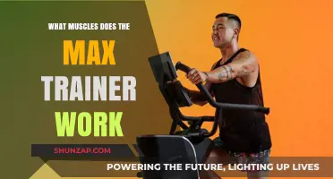 Max Trainer Muscle Target: Which Muscles Does It Work?
