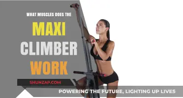 Maxi Climber Muscle Workout: Targeted Body Areas and Benefits