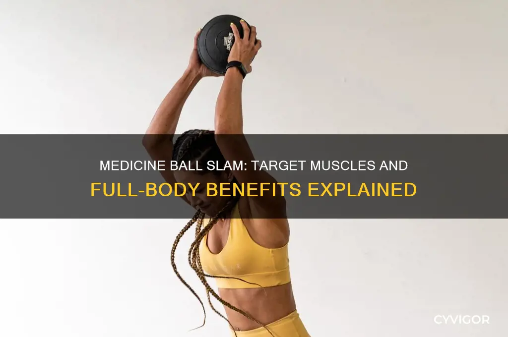 what muscles does the medicin ball slam work
