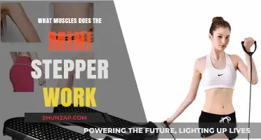 Mini Stepper Muscles: Targeted Toning for Lower Body and Core
