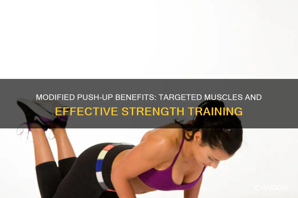 what muscles does the modified push-up work