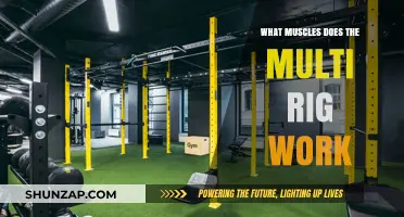 Multi Rig Workout: Targeted Muscles and Full-Body Benefits Explained