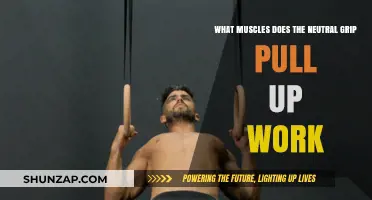 Neutral Grip Pull-Ups: Targeted Muscles and Benefits Explained