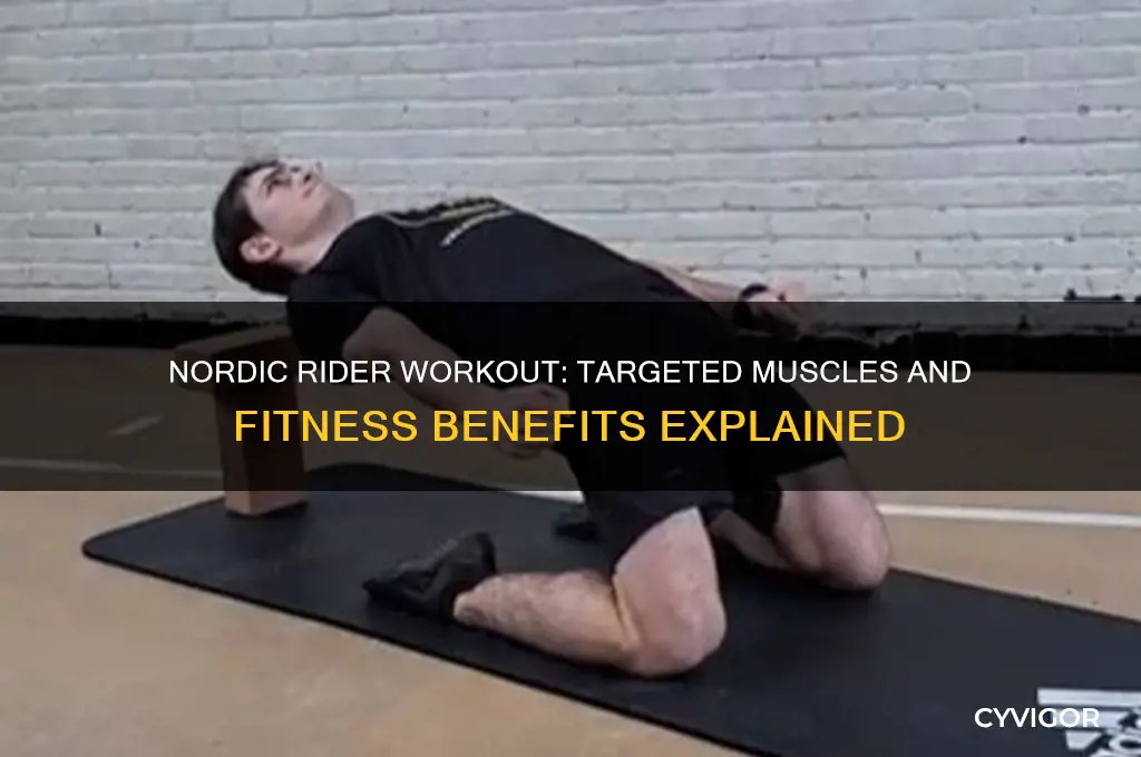 what muscles does the nordic rider work
