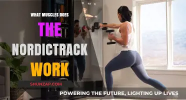 NordicTrack Workout: Targeted Muscles and Full-Body Benefits Explained