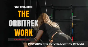 Orbitrek Workout Benefits: Targeted Muscles and Full-Body Fitness Explained