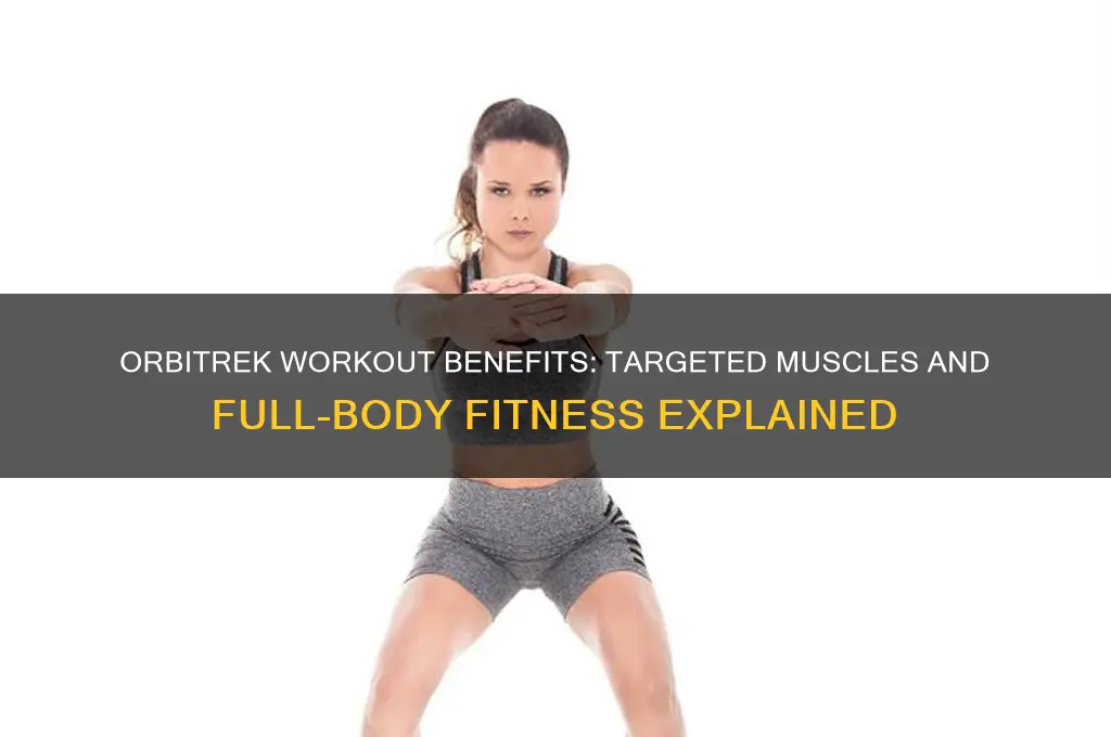 what muscles does the orbitrek work