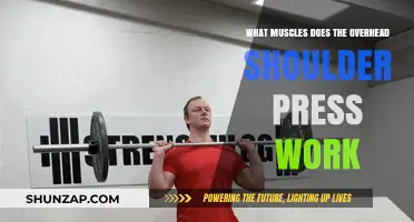 Overhead Shoulder Press: Target Muscles and Strength Benefits Explained