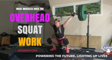Overhead Squat Muscles: Targeted Benefits and Full-Body Engagement Explained